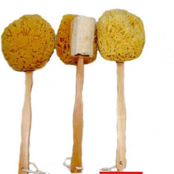 yellow-sponge-on-a-stick